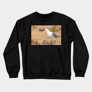 Thinking Gull Crewneck Sweatshirt